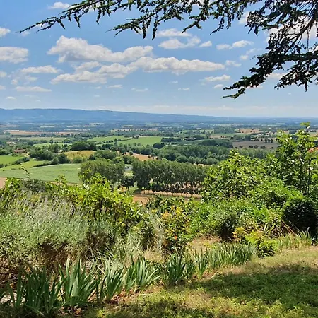 Casa vacanze Le Refuge Du Tarn - Grand Jardin Puylaurens