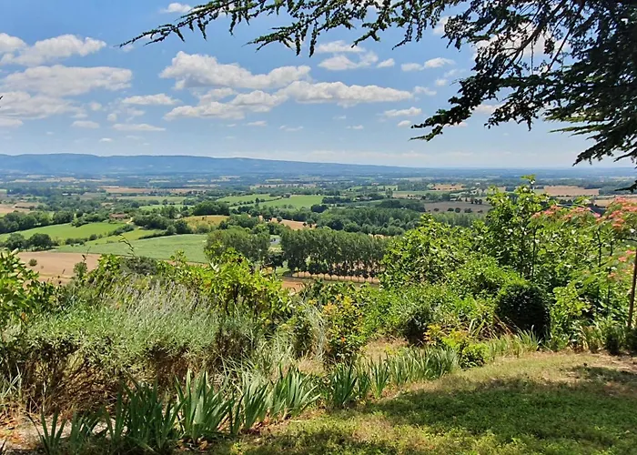 Vakantiehuis Le Refuge Du Tarn - Grand Jardin Puylaurens